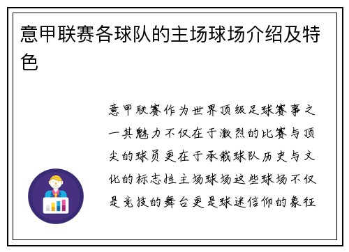 意甲联赛各球队的主场球场介绍及特色